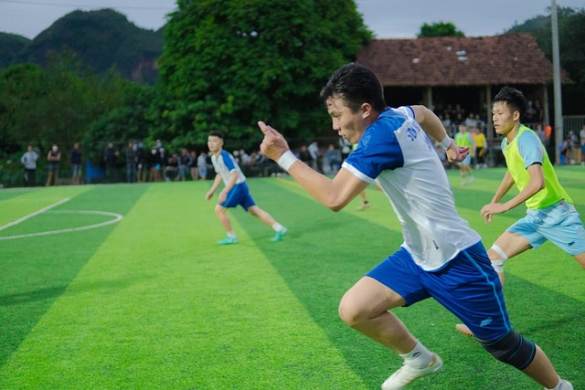 维尼修斯